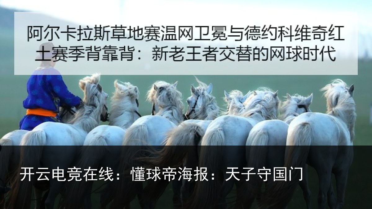 开云电竞在线：懂球帝海报：天子守国门