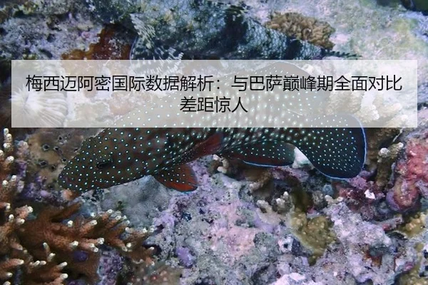 梅西迈阿密国际数据解析：与巴萨巅峰期全面对比差距惊人